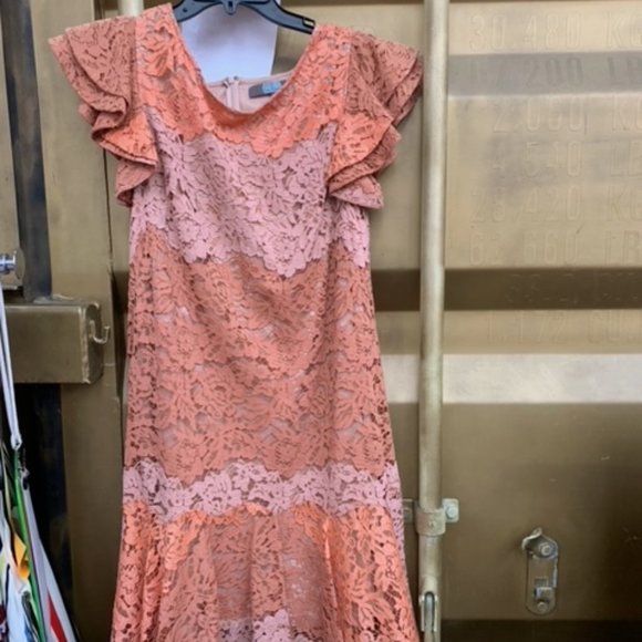 Eva Franco Coral Lace Flutter Sleeve Mini Dress - Picture 4 of 4